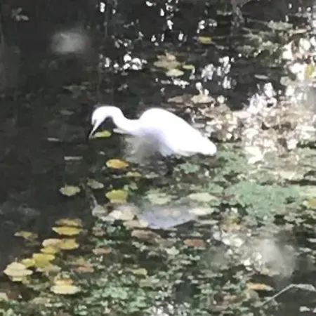 Apartment Reveil Aux Chants Des Oiseaux Asse-le-Riboul