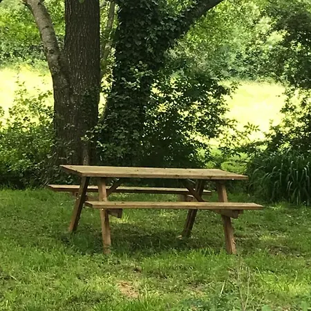 Reveil Aux Chants Des Oiseaux شقة *