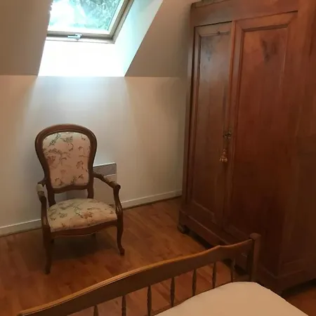 Reveil Aux Chants Des Oiseaux *