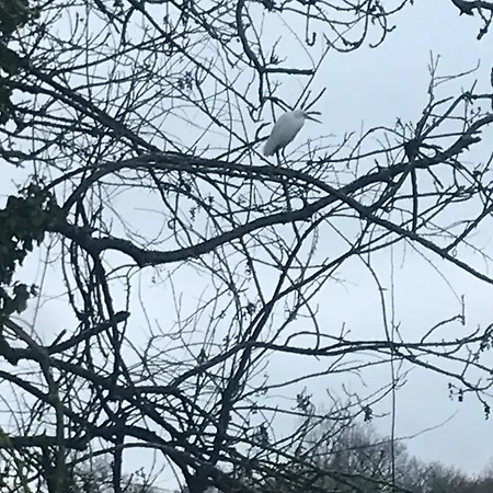 Appartement Reveil Aux Chants Des Oiseaux Asse-le-Riboul