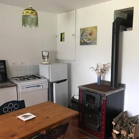 Reveil Aux Chants Des Oiseaux