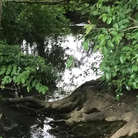Reveil Aux Chants Des Oiseaux Apartment