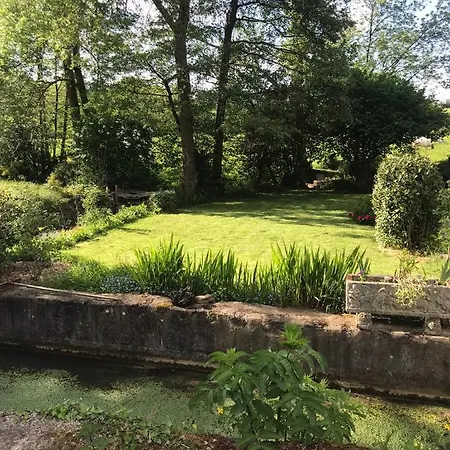Appartement Reveil Aux Chants Des Oiseaux
