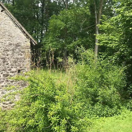 Reveil Aux Chants Des Oiseaux Asse-le-Riboul