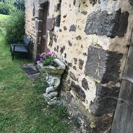 Reveil Aux Chants Des Oiseaux