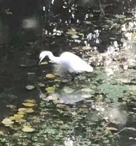 Daire Reveil Aux Chants Des Oiseaux Asse-le-Riboul