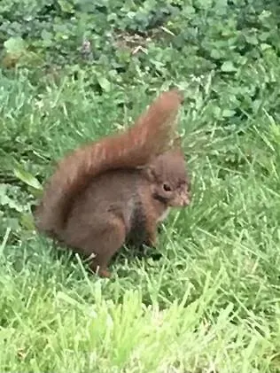 Apartamento Réveil Aux Chants Des Oiseaux *