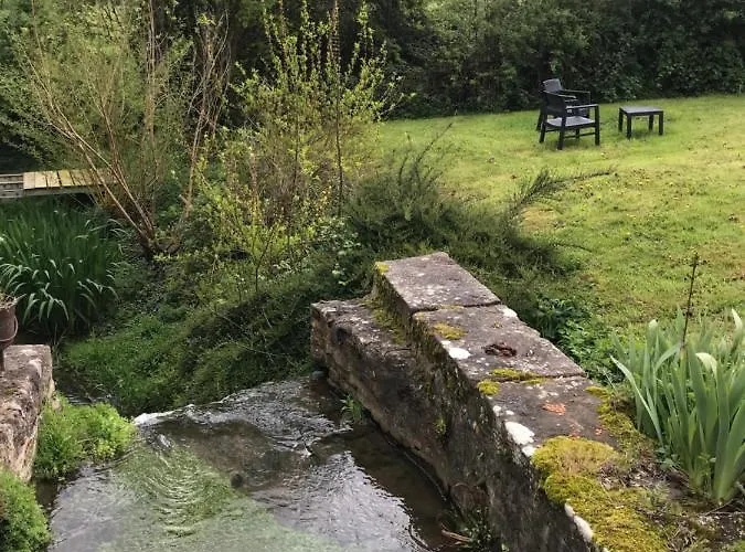 Reveil Aux Chants Des Oiseaux Daire *