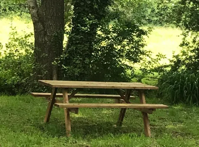 Réveil Aux Chants Des Oiseaux Apartamento *