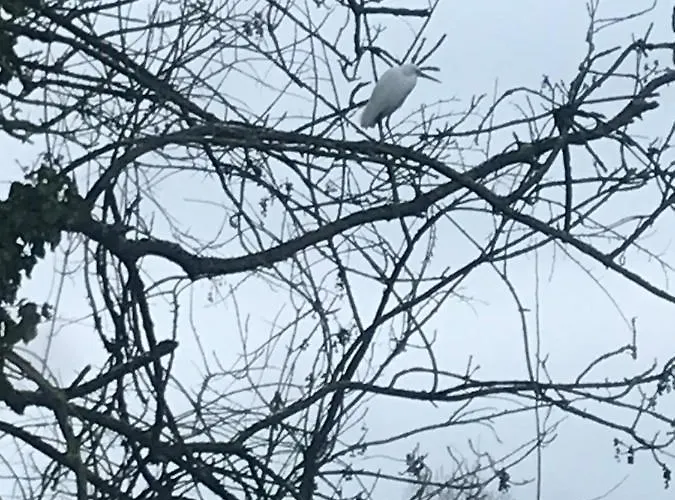 Daire Reveil Aux Chants Des Oiseaux Asse-le-Riboul
