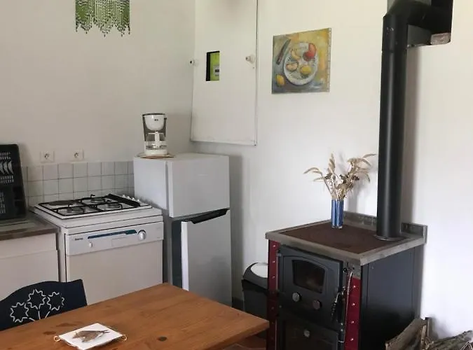 Reveil Aux Chants Des Oiseaux