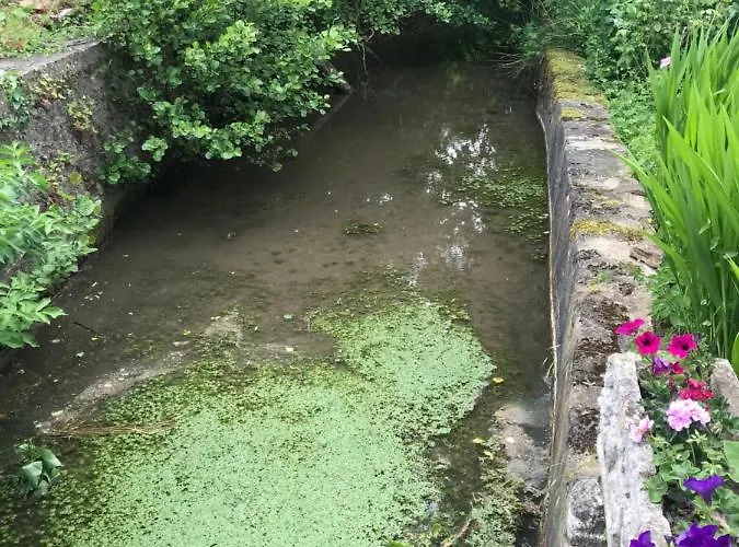 Daire Reveil Aux Chants Des Oiseaux Asse-le-Riboul