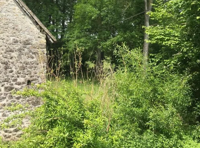 Reveil Aux Chants Des Oiseaux Asse-le-Riboul