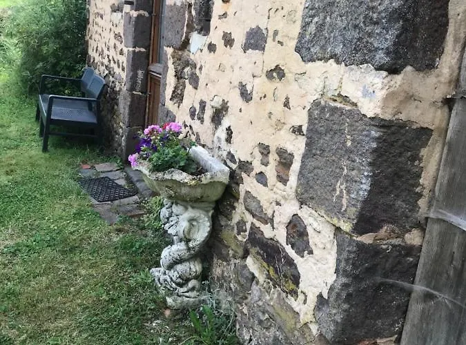 Réveil Aux Chants Des Oiseaux